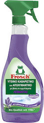 Frosch με Απολυμαντική Δράση 500ml