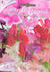 Sweet Pea Seeds