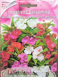 Samen Impatiens