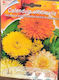 Semințe Calendula