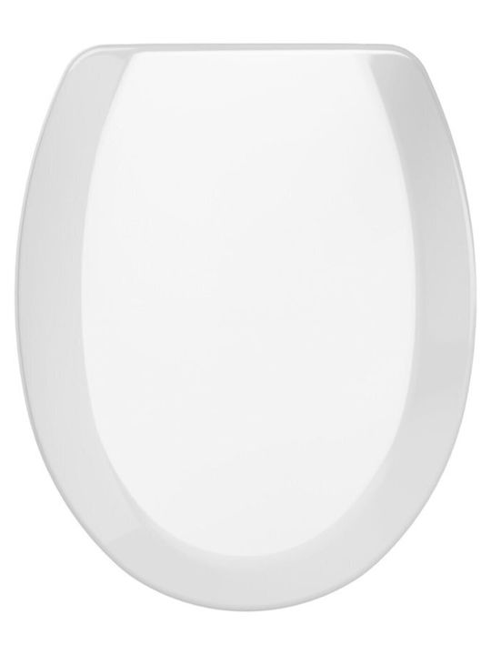 SteweHome Plastic Toilet Seat