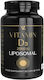 Vita Code Lab Vitamina D3 Liposomală pentru Susținerea Imunității și Sănătatea Oaselor 2000 UI 30 capsule pe bază de plante
