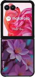 Sonique Umschlag Rückseite Silikon für Razr 50 ...