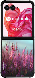 Sonique Sunset In Eden Series Motorola Motorola...