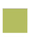 vidaXL Roller Blinds Total Blackout Green W150xH130cm 4011242