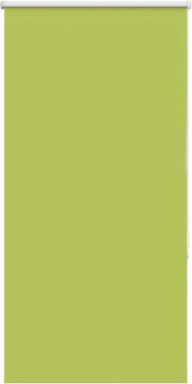 vidaXL Roller Blinds Total Blackout Green W70xH130cm 4011226