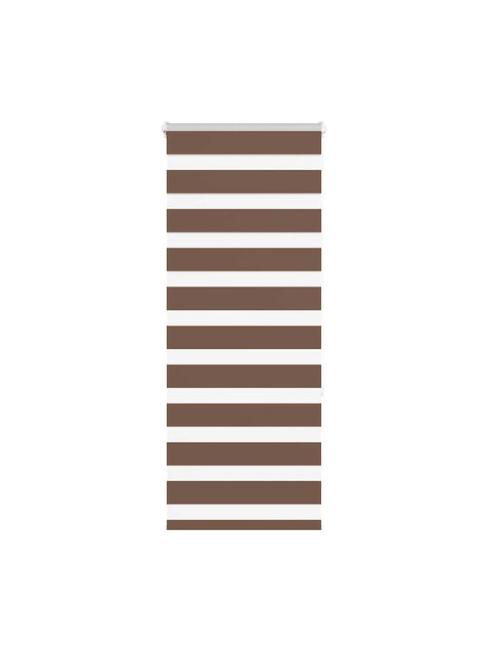 vidaXL Rollos Partieller Blackout Braune P55xH1...