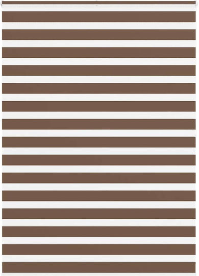 vidaXL Partial Blackout Roller Blinds Brown W160xH200cm 4014377
