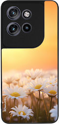 Sonique Silicone Gold Back Cover (Motorola Edge...