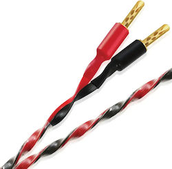 Wireworld Helicon -
