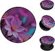 Pop Holder Sonique Sunset In Sunset Series Saku...