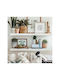 Wandregale Weiß 2Stücke 70x15x1.8cm