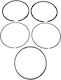 Genuine Piston Springs Honda Gx25t