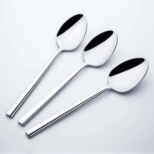 SteweHome Salter Inox Dessert / Eiscreme Löffel Set Silber 6 Stück