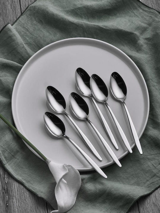 SteweHome Salter Inox Dessert / Eiscreme Löffel Set Silber 6 Stück