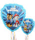 Pinata Ribbons – Paw Patrol