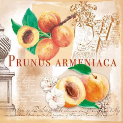 Decoupage Servietten Prunus 33x33 Verpackung 20 Stück