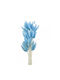 Dried Lagurus Light Blue 60cm 1 Bouquet