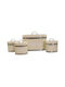 Set of 4 Coffee Tea Sugar Storage Boxes with Metallic Lid Brown 4 Pieces