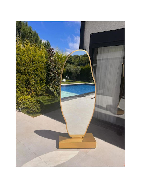 SteweHome Asymmetric Mirror with Gold Wooden Frame 180x65cm
