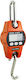 SPV Electronic Professional Crane Scale with Weighing Capacity 300kg and Accuracy 50g