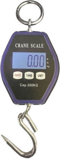 SPV Professional Crane Scale with Weighing Capacity 300kg