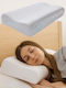 SteweHome Latex Bed Pillow 60x40x12cm