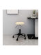 Dining Chair Velvet Beige / Beige 31cm / 31x42x