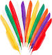 Karnevalsaccessoires Flügel Multi