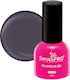 SensoPro Glamour Gel Nail Polish Spicy Plum #66...