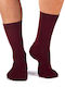 Pirin Hill Men's Burgundy Socks