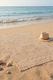 SteweHome Cotton Brown Beach Towel 100x150cm