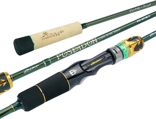 Asuka Poseidon Angelrute Für Langsames Jigging / Spinnfischen 1.91m 250gr