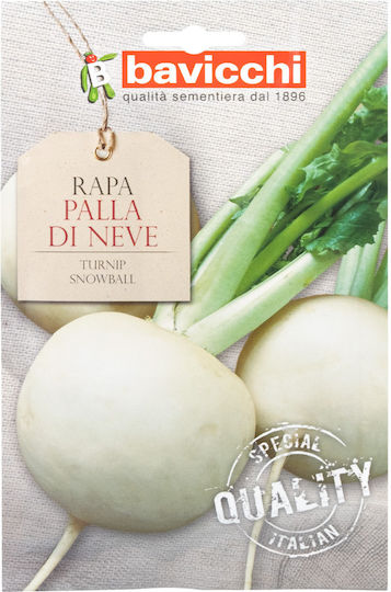 Geo Bavicchi Turnip Seeds Snowball White