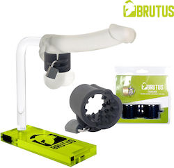 Brutus Cruncher Silikon Sperrbarer Stachelball Dehner