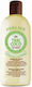 Perlier Thai Coco Hair Oil for Hydration 150ml