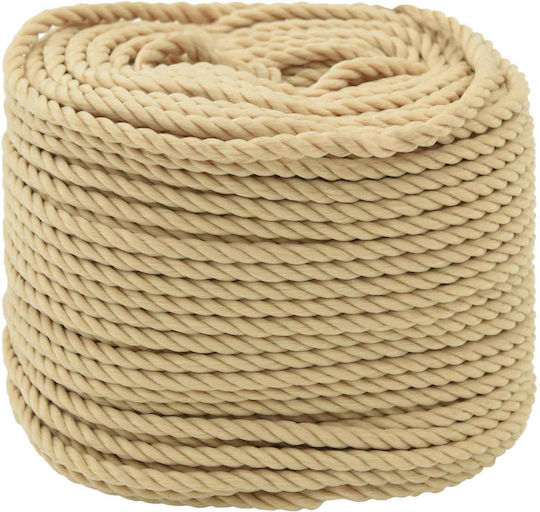 Vidaxl Σχοινί Boat 100 M 0.6 Φυσικό Pp