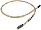 Chord Epic Digital Cable RCA male - RCA male 0.5m