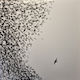 Wilco Sky Blue Sky Vinyl