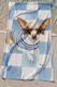 Stewehome Beach Towel Colorful Dog Digital Print 75x150 Cm