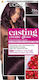 L'Oreal Paris Casting Creme Gloss Hair Dye No A...
