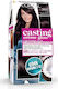 L'Oreal Paris Casting Creme Gloss Hair Dye 3102