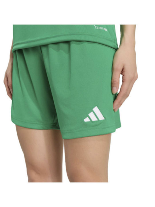 Damen-Shorts Grün