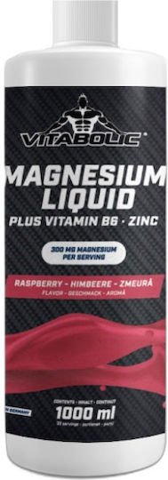 Vitabolic SRL Μαγνήσιο, Ψευδάργυρος & Ασβέστιο 2.8mg με Βιταμίνη B6 455.68gr 1000ml με γεύση Raspberry