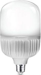 Ishoot Lumină Foto LED Continuă Caldă 30W 3000K