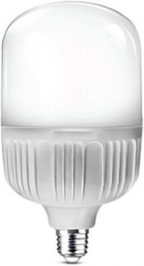 Ishoot Led Photo Light Continuous Warm Light 30w 3000k