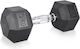 inSPORTline Hexagon Dumbbell 1 x 25kg