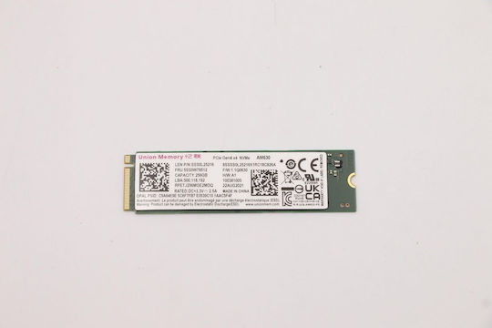 Lenovo SSD 256GB Type M.2 with PCI Express 4.0 Connection W126516597