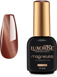 Luxorise 