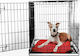 Glee Dog Park Made of Metal in Black Colour 107 x 70 x 77.5cm
